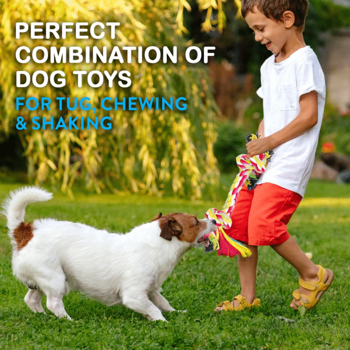 11-Pack Dog Rope Toys – Teething Toys for Small & Medium Dogs - Image 3