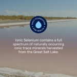 Ionic Selenium 300mcg Liquid Supplement – with Magnesium, Supports Immune & Thyroid Health, 2 Fl Oz - Image 4