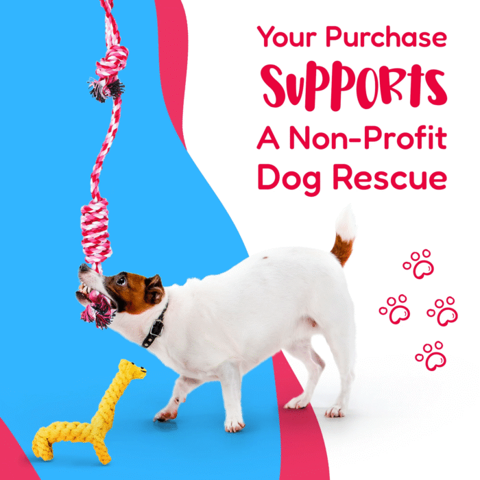 11-Pack Dog Rope Toys – Teething Toys for Small & Medium Dogs - Image 12