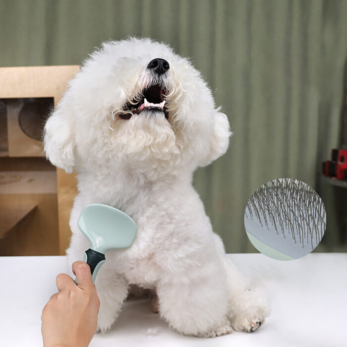 Professional Dog Grooming Clippers – Cordless, Low Noise, for Thick Coats & Cats - Image 9