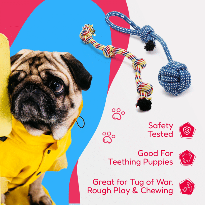 11-Pack Dog Rope Toys – Teething Toys for Small & Medium Dogs - Image 8