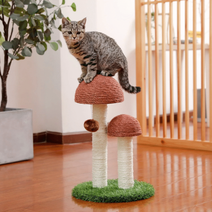 2-Pack Mushroom Cat Scratching Posts – 19" Sisal Scratcher for Kittens & Small Cats - Image 5