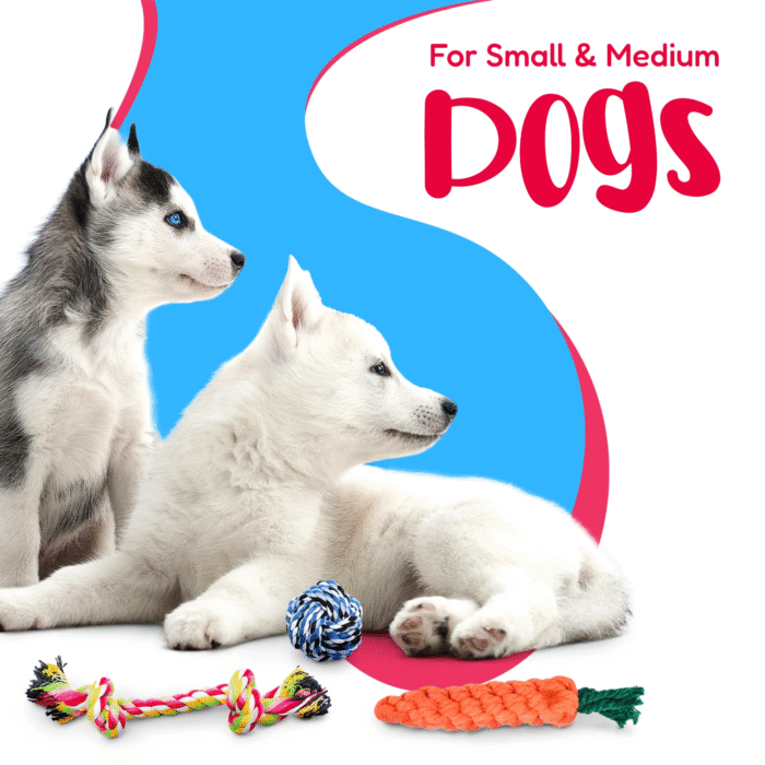 11-Pack Dog Rope Toys – Teething Toys for Small & Medium Dogs - Image 9
