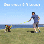 Solid 6 Ft Pink Dog Leash M/L Custom Name and Phone Embroidery Strong Nylon Leash for Medium and Large Breeds - Image 2