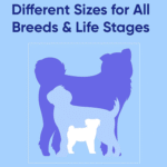 Solid 6 Ft Pink Dog Leash M/L Custom Name and Phone Embroidery Strong Nylon Leash for Medium and Large Breeds - Image 7