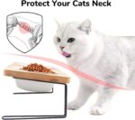 Elevated Cat Ceramic Bowls, Small Dog 15° Tilted Raised Food Feeding Dishes - Image 5