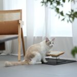 Elevated Cat Ceramic Bowls, Small Dog 15° Tilted Raised Food Feeding Dishes - Image 8