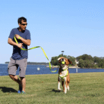 Solid 6 Ft Pink Dog Leash M/L Custom Name and Phone Embroidery Strong Nylon Leash for Medium and Large Breeds - Image 9