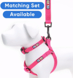 Solid 6 Ft Pink Dog Leash M/L Custom Name and Phone Embroidery Strong Nylon Leash for Medium and Large Breeds - Image 5